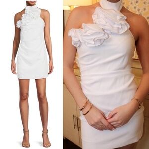 NWT Gianni Bini Wren Crepe High Neck Rosette Mini Dress Sz 2